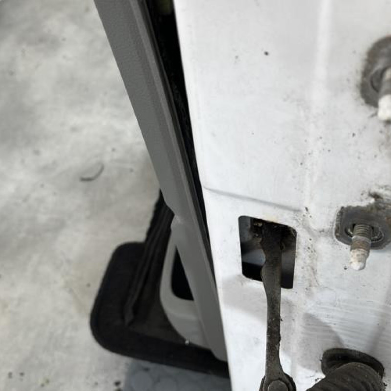 Porte avant gauche DACIA LOGAN 1 Photo n°4