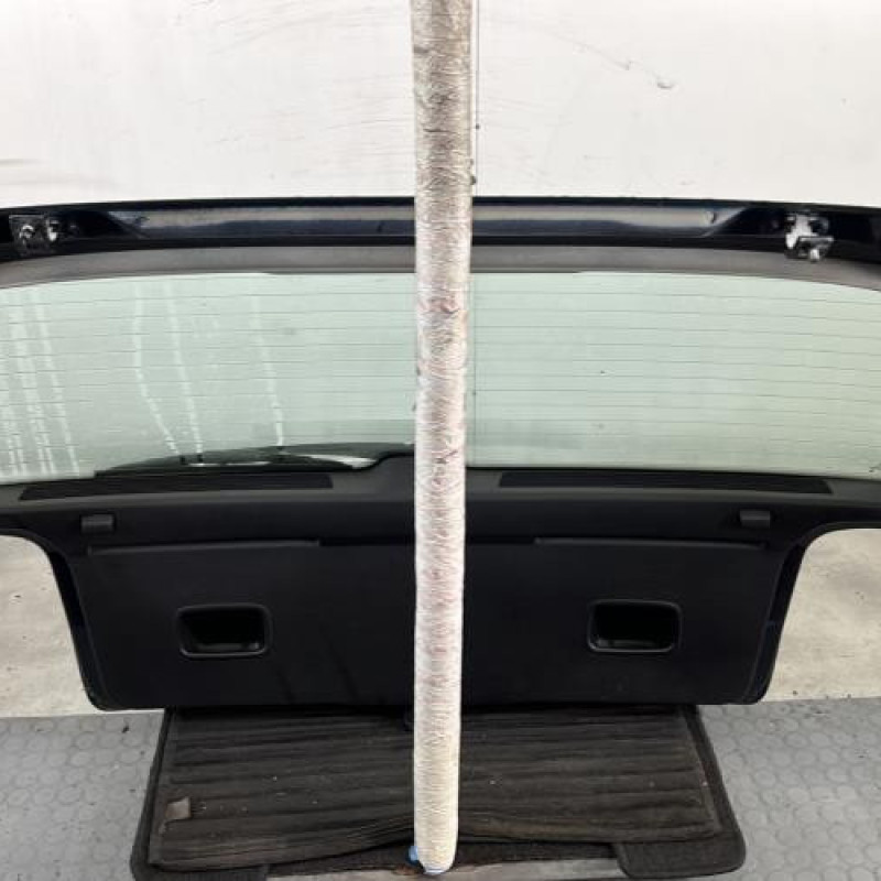 Malle/Hayon arriere VOLKSWAGEN GOLF 4 Photo n°11