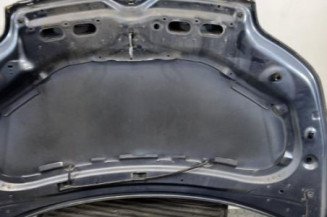 Capot CITROEN C4 1