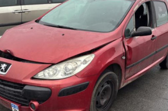 Aile avant droit PEUGEOT 307