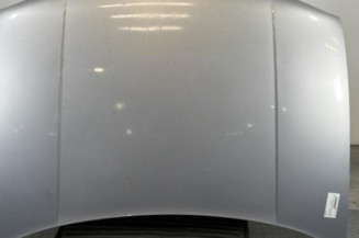 Capot VOLKSWAGEN GOLF 4 Photo n°1