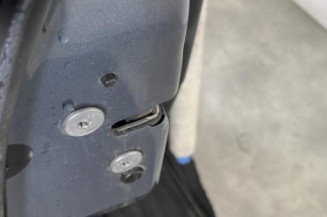 Porte arriere gauche CITROEN C4 1