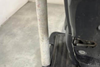 Porte arriere droit CITROEN C3 1