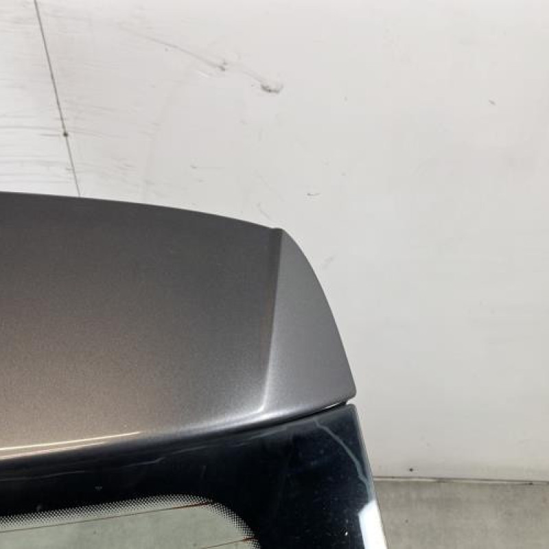 Malle/Hayon arriere VOLKSWAGEN POLO 5 Photo n°3