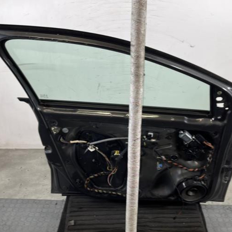 Porte avant gauche VOLKSWAGEN POLO 5 Photo n°6