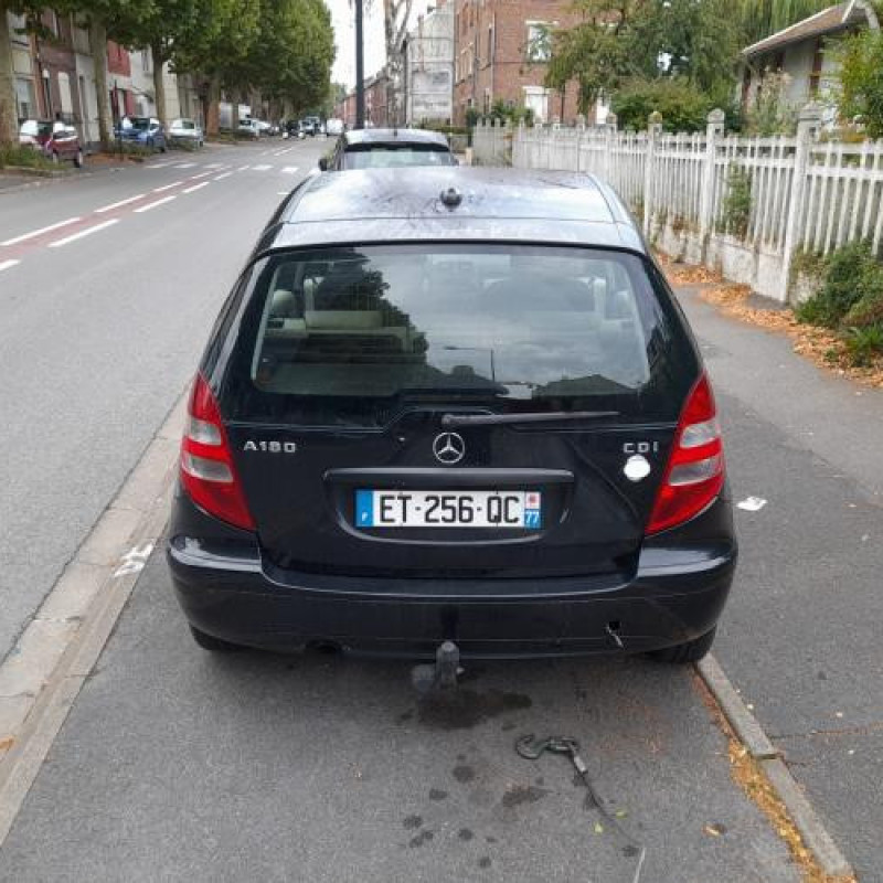 Porte arriere gauche MERCEDES CLASSE A 169 Photo n°11