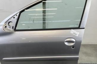 Porte avant gauche PEUGEOT 206+ Photo n°1