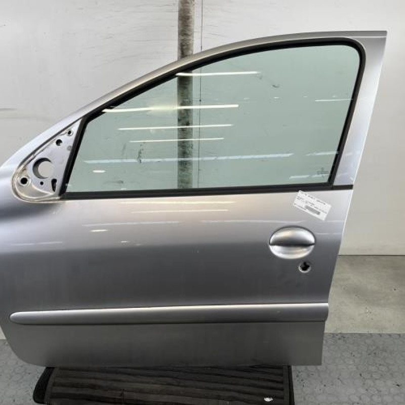 Porte avant gauche PEUGEOT 206+ Photo n°1