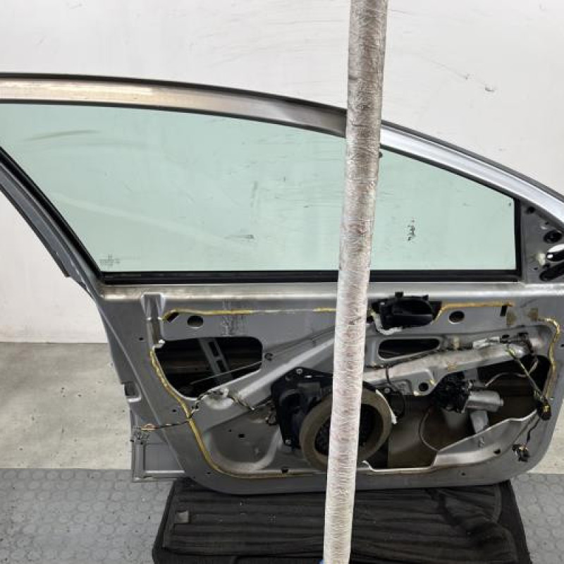 Porte avant gauche PEUGEOT 206+ Photo n°5