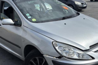 Vase de lave glace PEUGEOT 307