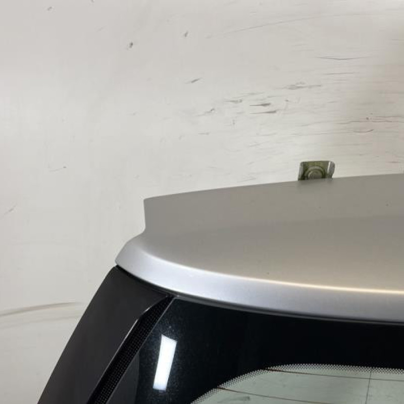 Malle/Hayon arriere RENAULT GRAND SCENIC 2 Photo n°2