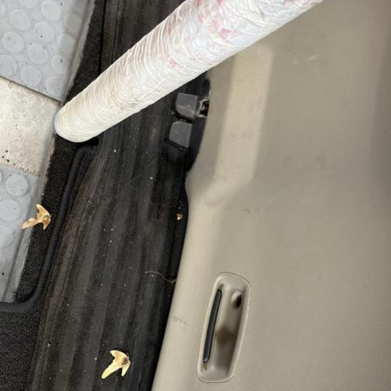 Malle/Hayon arriere RENAULT GRAND SCENIC 2 Photo n°10