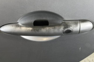 Porte arriere gauche RENAULT GRAND SCENIC 2