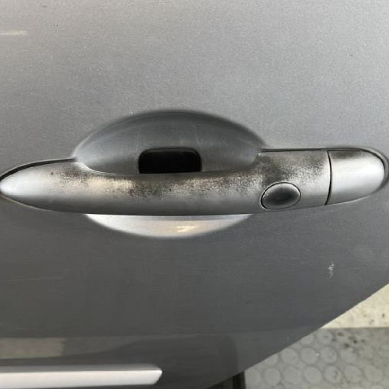 Porte arriere gauche RENAULT GRAND SCENIC 2 Photo n°2