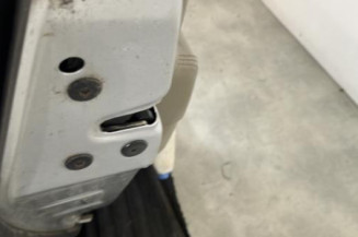 Porte arriere gauche RENAULT GRAND SCENIC 2