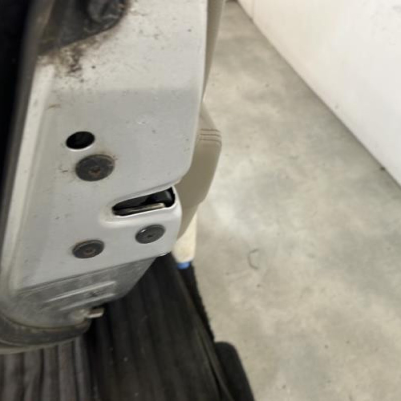 Porte arriere gauche RENAULT GRAND SCENIC 2 Photo n°3