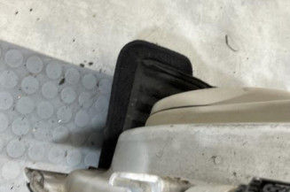 Porte arriere gauche RENAULT GRAND SCENIC 2