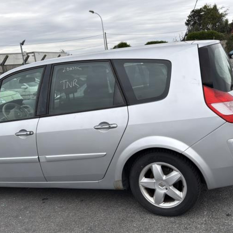 Porte arriere gauche RENAULT GRAND SCENIC 2 Photo n°13