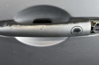 Porte avant gauche RENAULT GRAND SCENIC 2