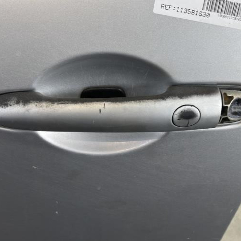 Porte avant gauche RENAULT GRAND SCENIC 2 Photo n°2