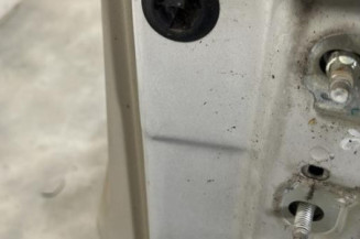 Porte avant gauche RENAULT GRAND SCENIC 2