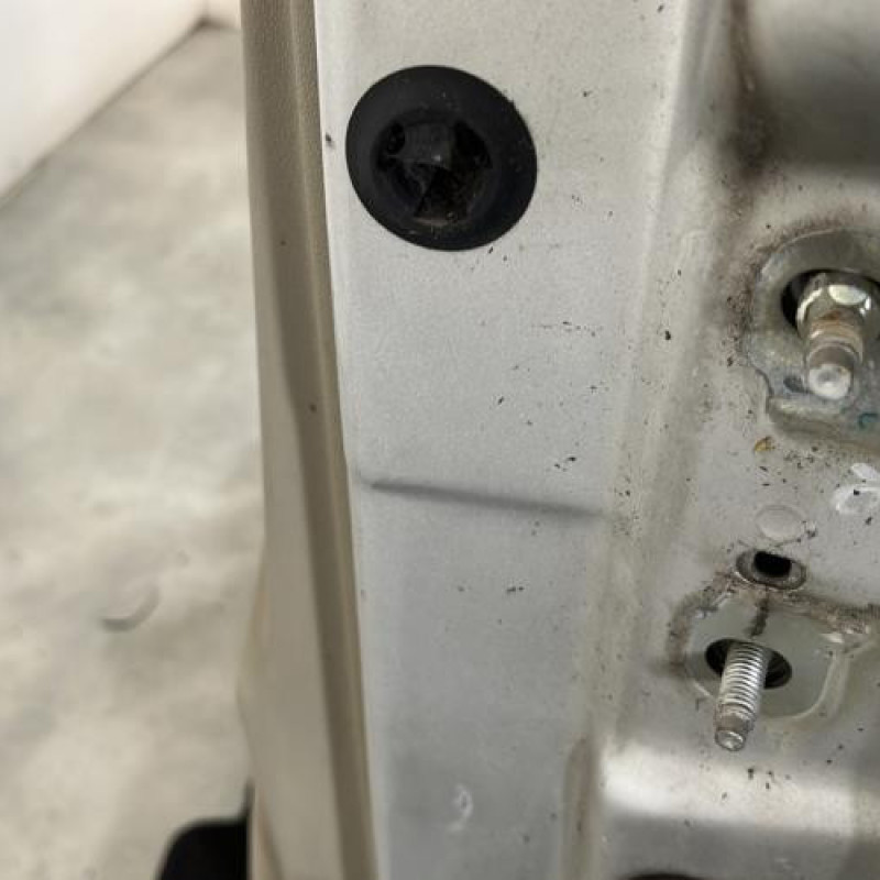 Porte avant gauche RENAULT GRAND SCENIC 2 Photo n°4