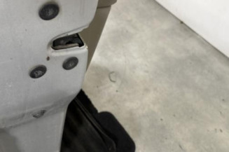 Porte avant gauche RENAULT GRAND SCENIC 2