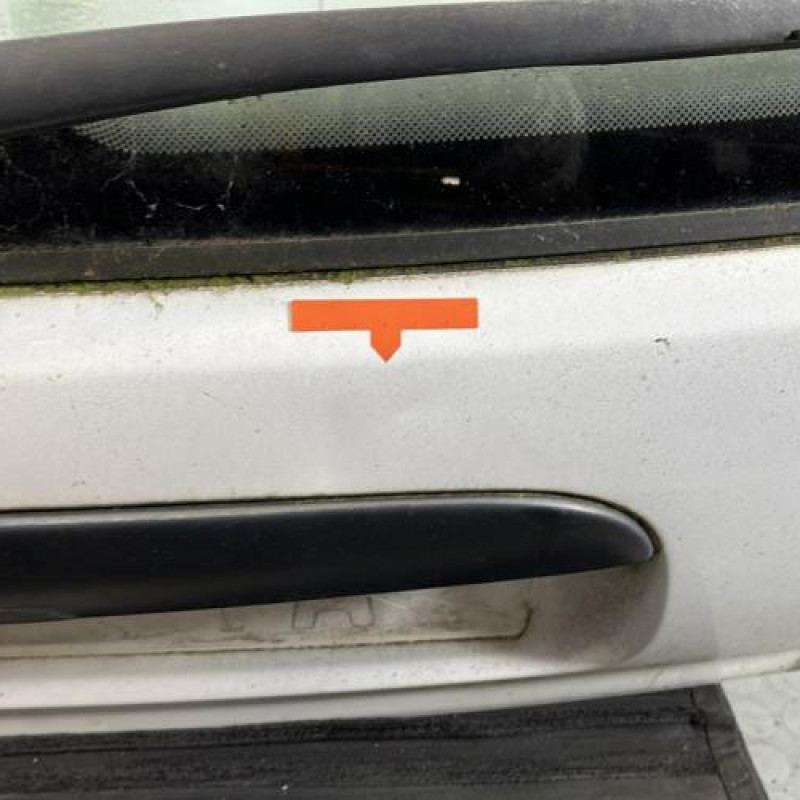 Malle/Hayon arriere CITROEN SAXO Photo n°3