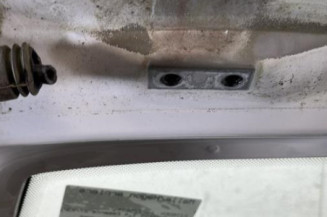 Malle/Hayon arriere CITROEN SAXO