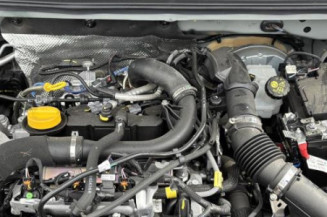 Poignee interieur avant gauche DACIA SANDERO 3 STEPWAY