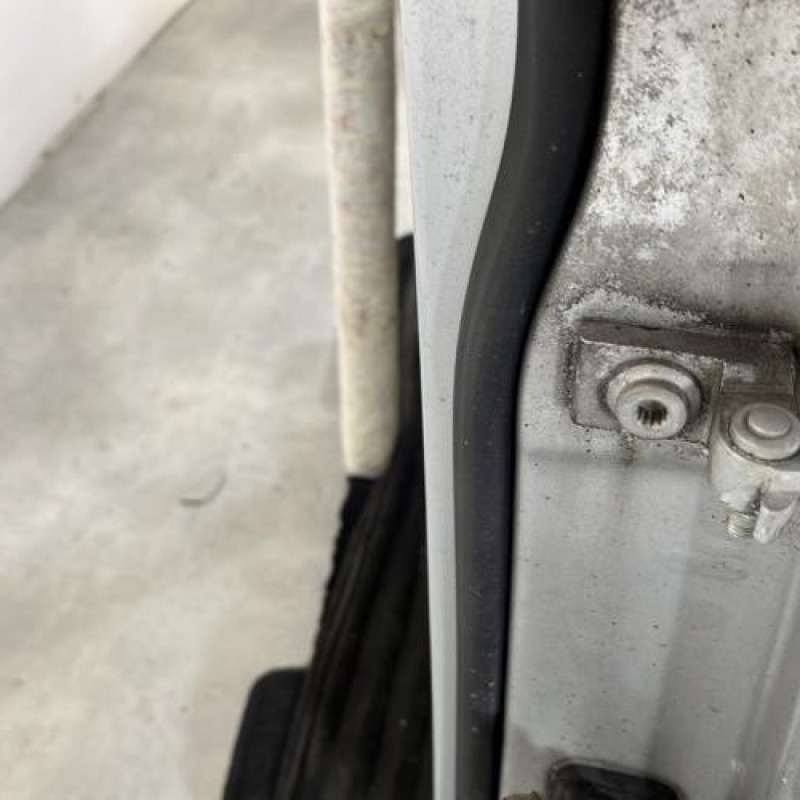 Porte avant gauche VOLKSWAGEN TOURAN 1 Photo n°3