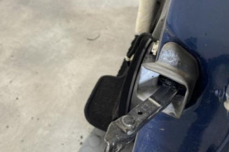 Porte avant gauche BMW SERIE 3 E46