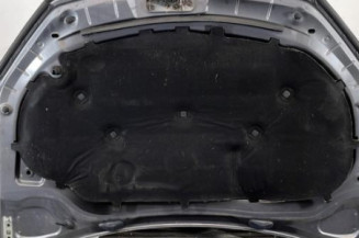 Capot VOLKSWAGEN GOLF 6