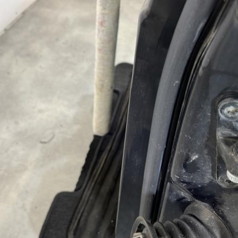 Porte avant gauche MERCEDES CLASSE A 169 Photo n°2