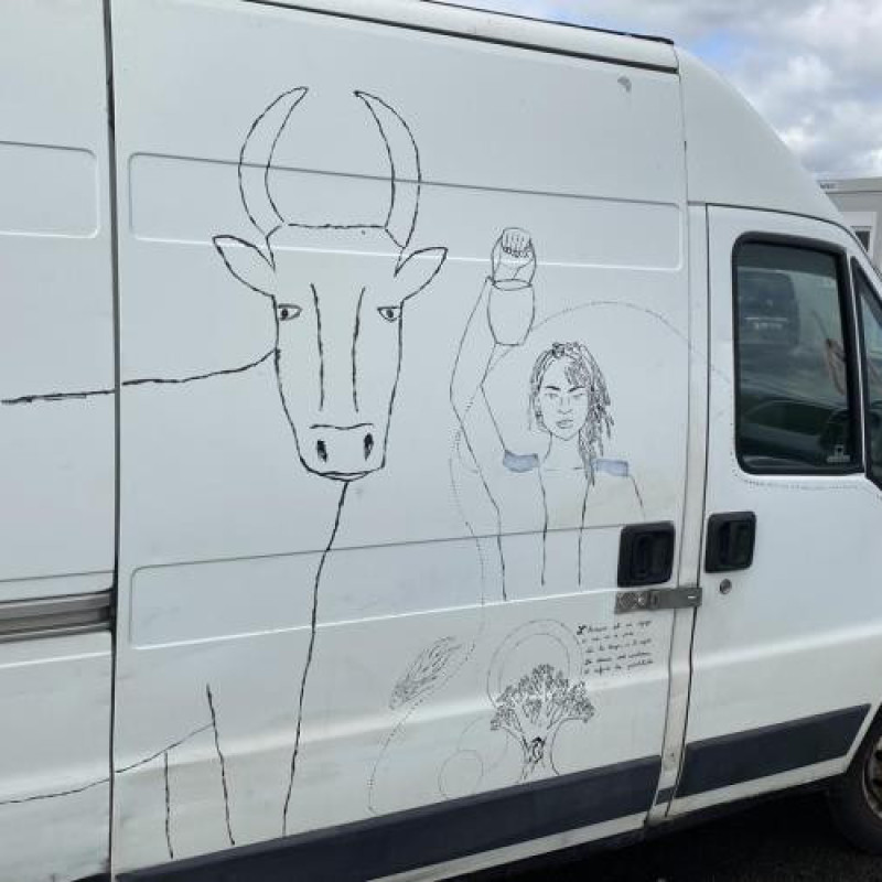 Custode avant droit (porte) CITROEN JUMPER 2 Photo n°16