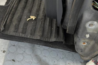 Porte avant gauche TOYOTA AURIS 1