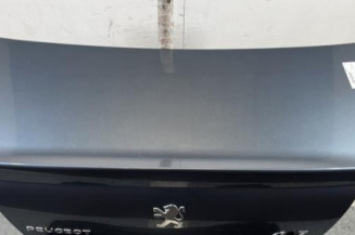 Malle/Hayon arriere PEUGEOT 407 Photo n°1