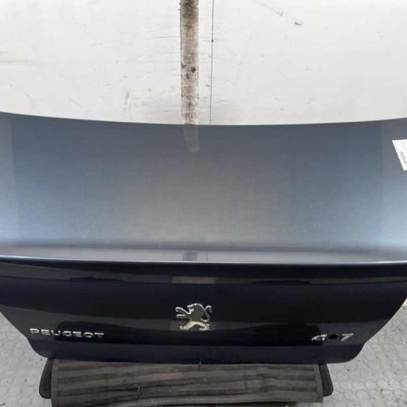 Malle/Hayon arriere PEUGEOT 407 Photo n°1