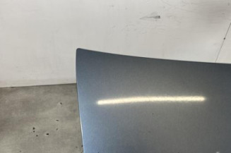 Malle/Hayon arriere PEUGEOT 407