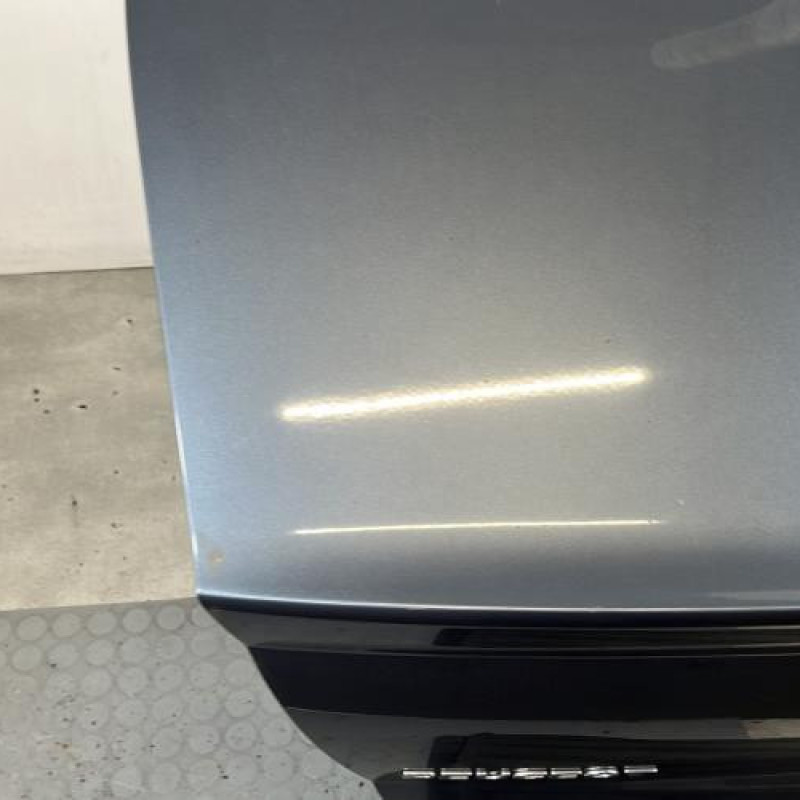 Malle/Hayon arriere PEUGEOT 407 Photo n°5