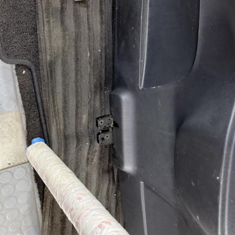 Malle/Hayon arriere RENAULT CLIO 3 Photo n°12