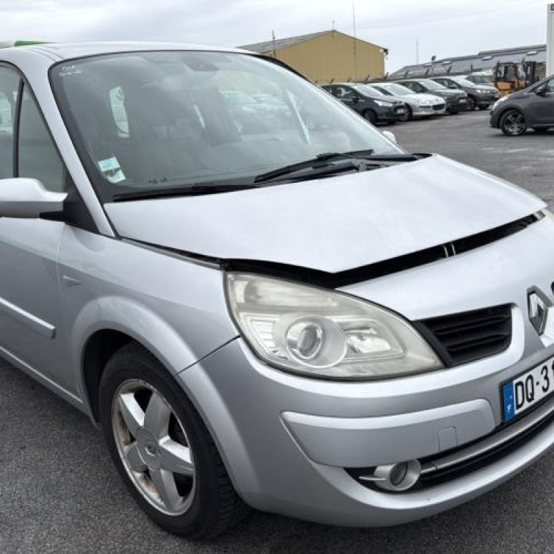 Custode arriere gauche RENAULT GRAND SCENIC 2 Photo n°6