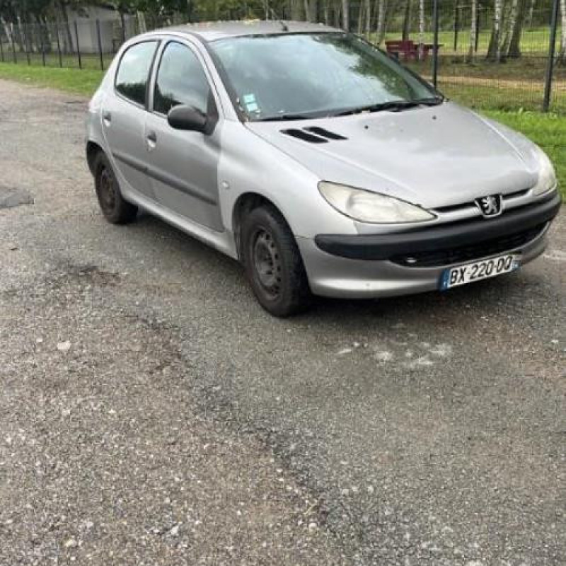 Essieu arriere PEUGEOT 206 Photo n°14