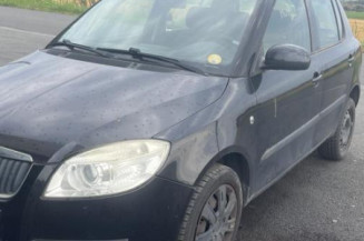 Mastervac SKODA FABIA 2 Photo n°1