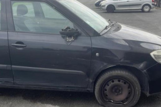 Mastervac SKODA FABIA 2