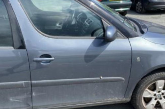 Mastervac SKODA ROOMSTER