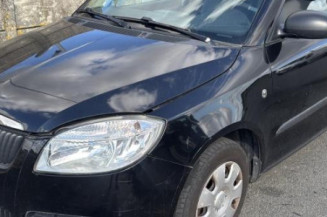 Mastervac SKODA FABIA 2 Photo n°1