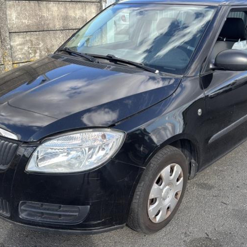 Mastervac SKODA FABIA 2 Photo n°1