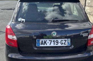 Mastervac SKODA FABIA 2