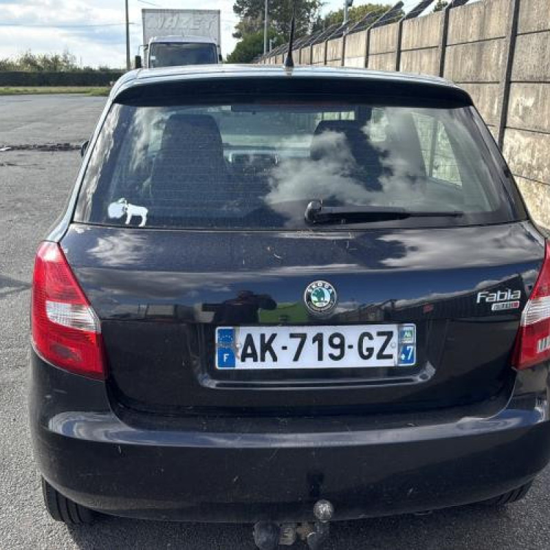 Mastervac SKODA FABIA 2 Photo n°5